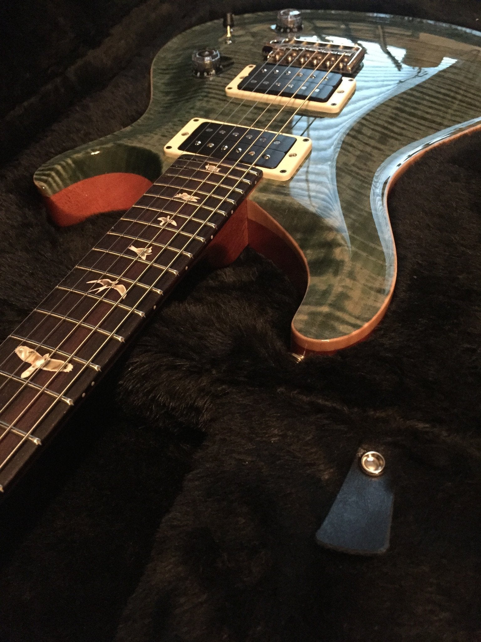 PRS Custom 24 | 10 Top | Trampas Green | Special Order – Rusty