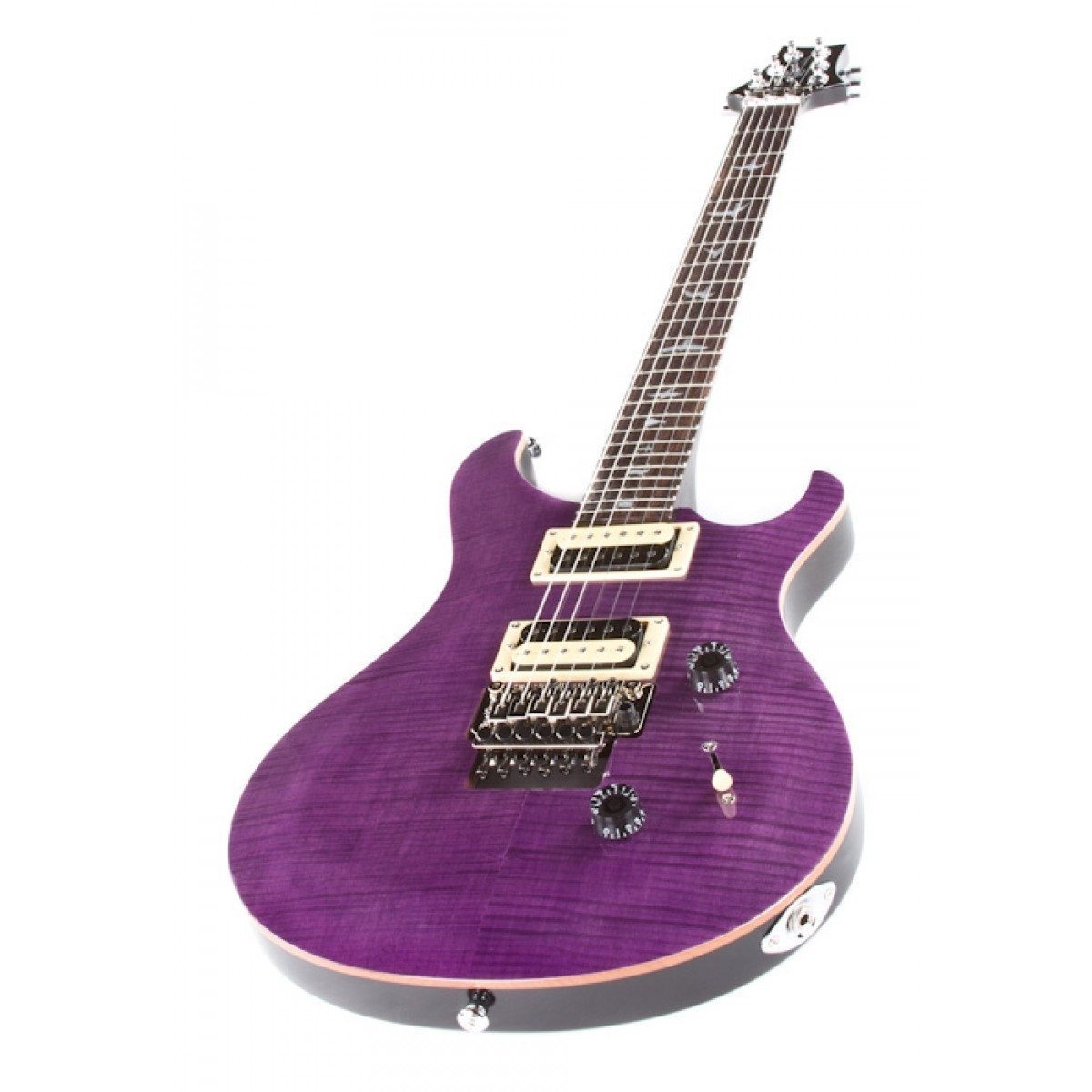 Paul Reed Smith PRS SE "Floyd" Custom 24 - Amethyst